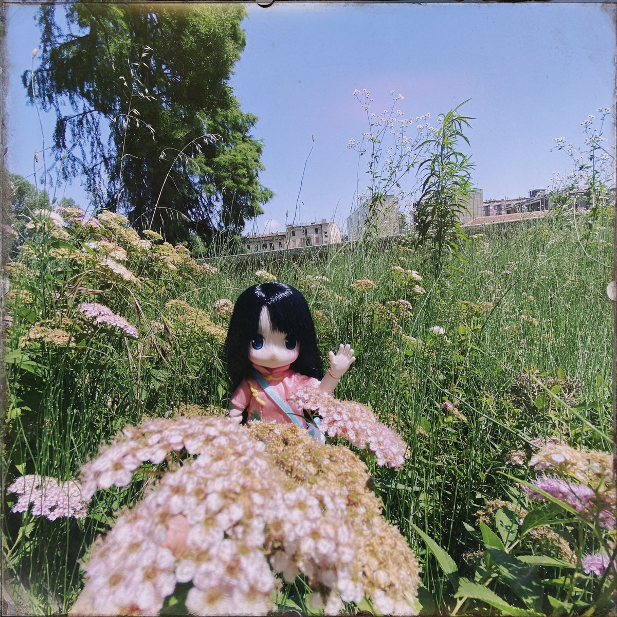 silvia_ryu's tweet photo. Cutie 💕

#chuchudoll #nendoroiddolldress #hipstamatic https://t.co/6gYhnajEDF