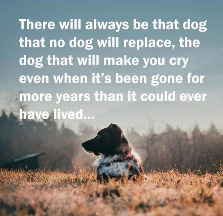 So true 💔