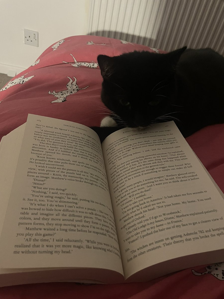 SivanNoodle's tweet photo. @DebHarkness my cat is trying to read A Discovery of Witches but doesn’t understand the big words.

I think Matthew is her favourite https://t.co/zQWy8LmcFl