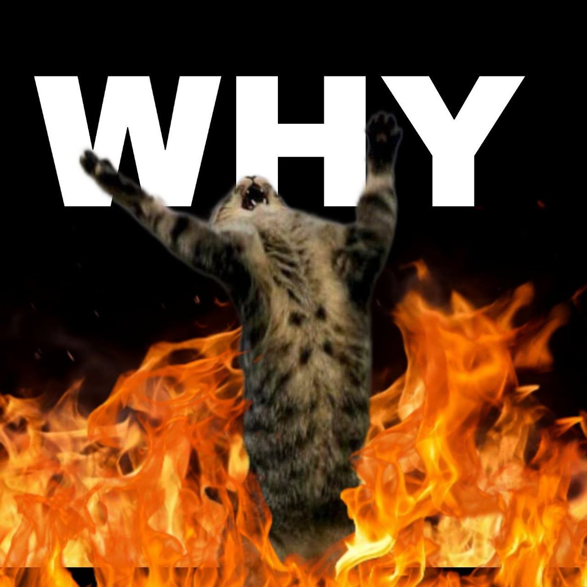 trenchmanjames's tweet photo. @yogurt_eth $why are you fading https://t.co/sCzCYERdDv