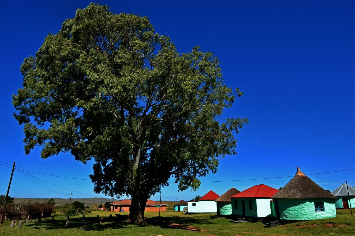 urtradio's tweet photo. South Africa: @UNESCO adds village where Nelson Mandela grew up to World Heritage list https://t.co/zjW5ceCzzl