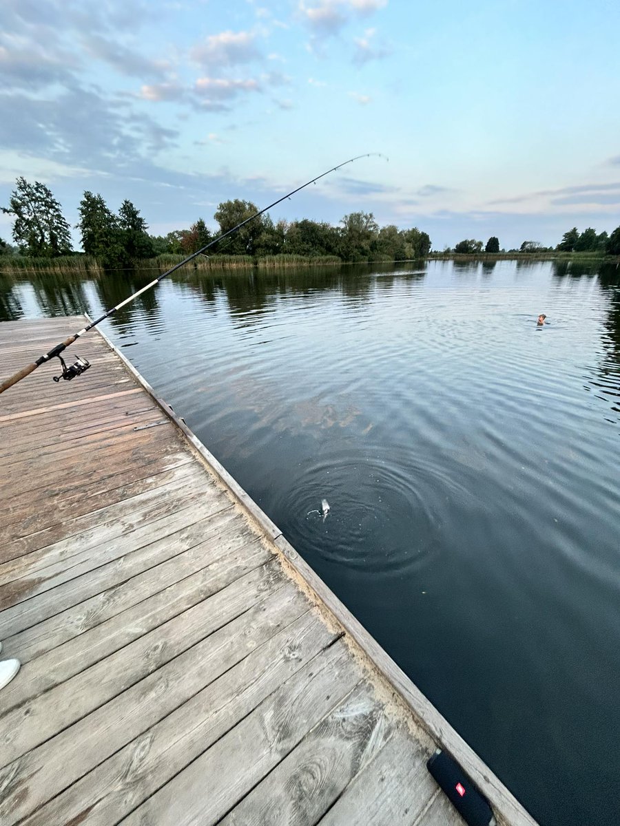 𝑎𝑙𝑒𝑘𝑠𝑎 tweet media