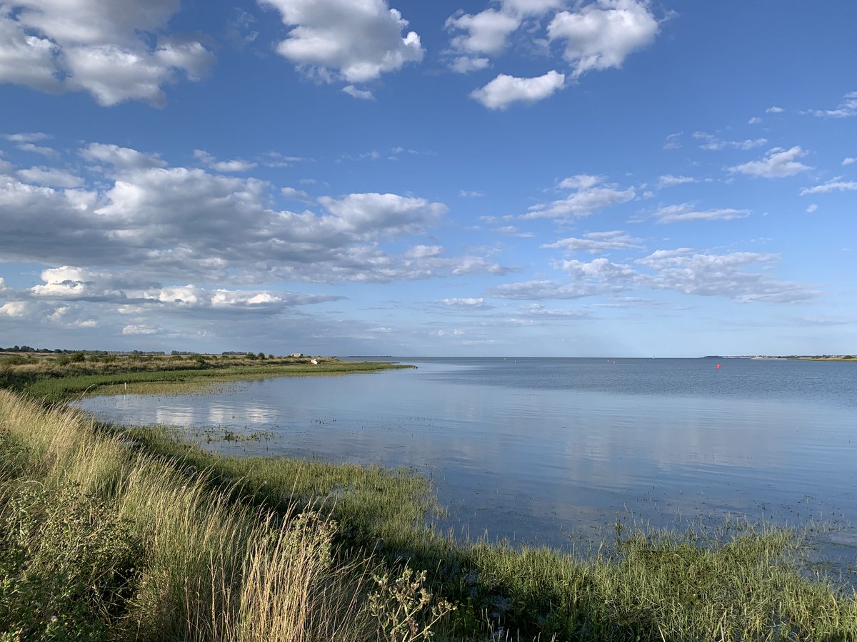 Oare Marshes, Kent: Ad. Curlew Sandpiper, 2 Garganey, 2 Little Ringed Plover, 16 Greenshank, 32 Whimbrel, Ruff, 14 Golden Plover and 2 Green Sandpiper on East Flood 17.30 + 2 Turtle Dove Coastguards. Hobby and 2 Yellow Wagtail over Faversham Creek <a href="/KentishPlover/">KOS</a> <a href="/RareBirdAlertUK/">RareBirdAlertUK</a>