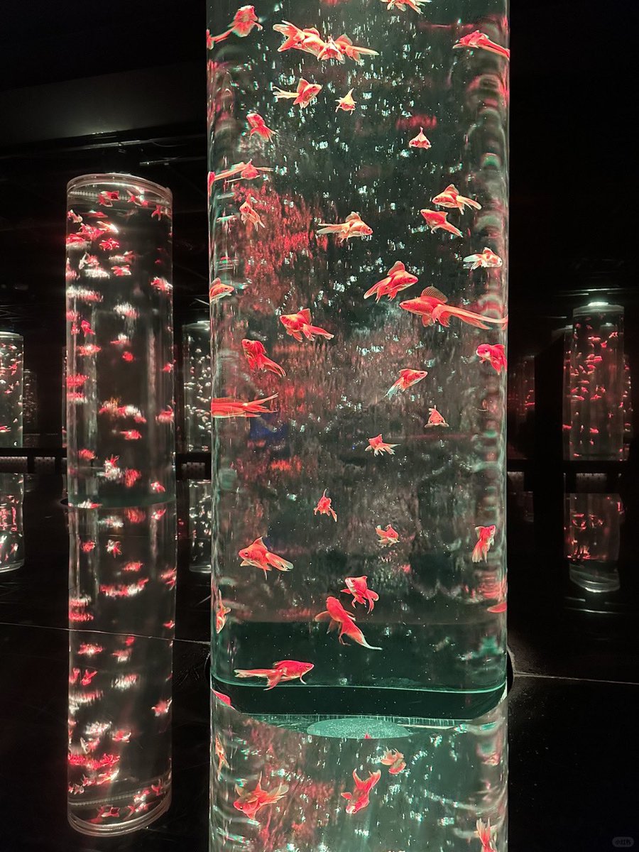 cuteee_all's tweet image. So beautiful🐟