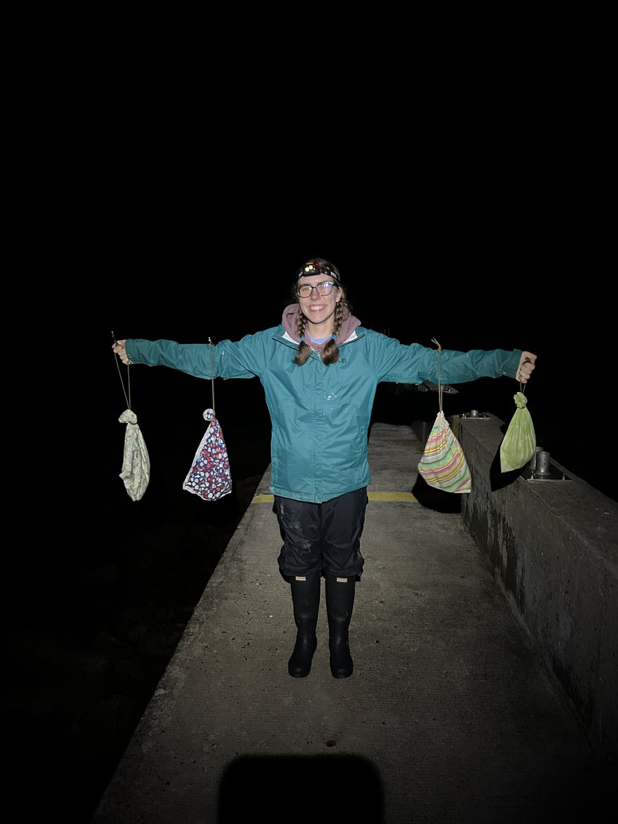 ALAR - Atlantic laboratory for Avian Research tweet media