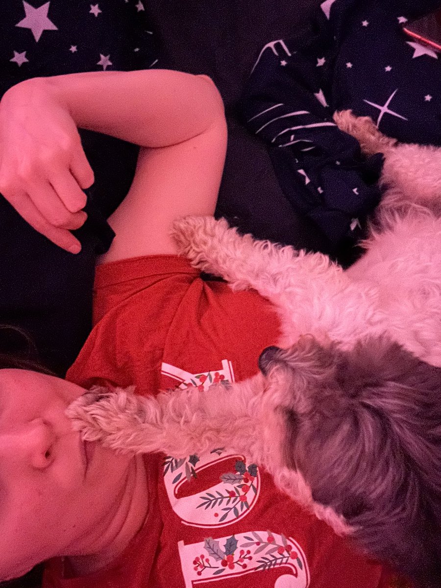 MrPicklestheHavapoo tweet media