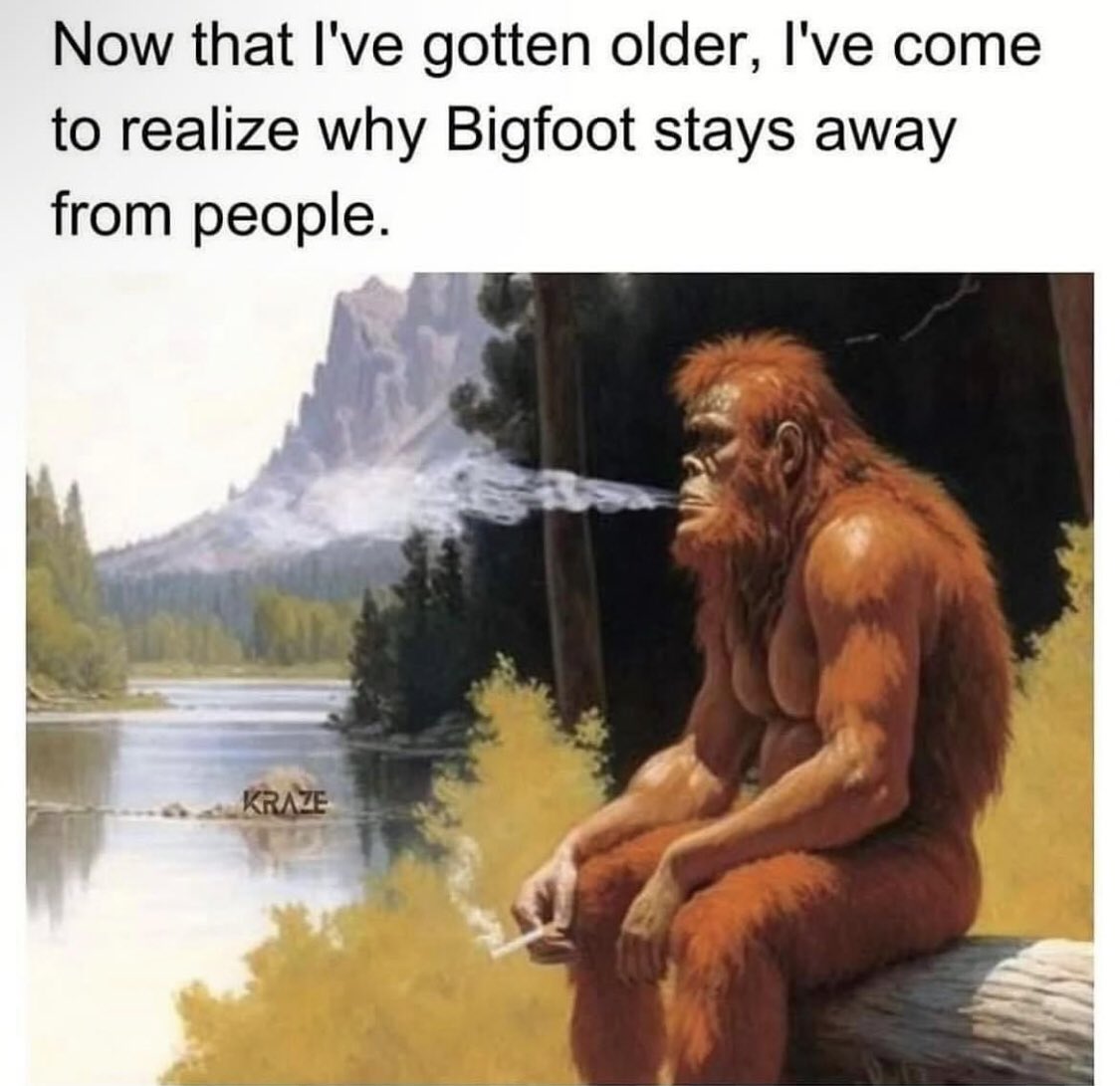 introvert memes (@introvertsmemes) on Twitter photo 