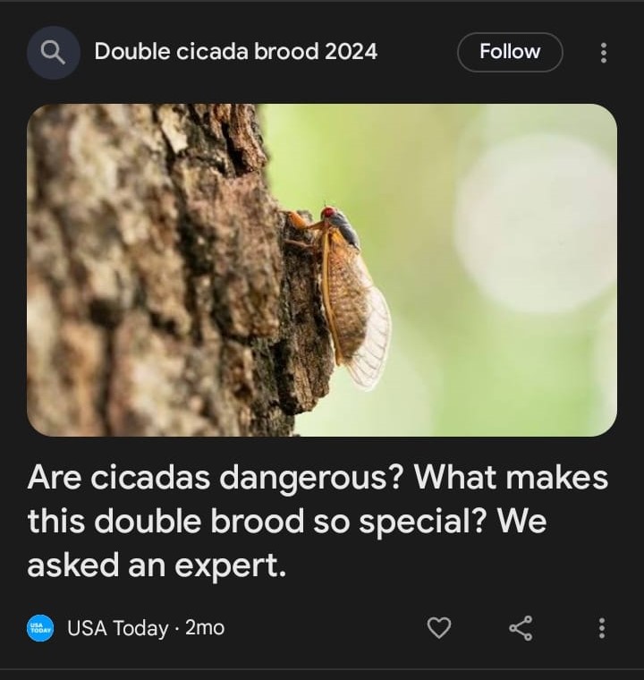Why does Google Discover keep showing me information about the cicada event from 2-3 months ago?

They're gone. Dead. All of them. Not a wing left behind. 

You'd think an algorithm dedicated to timely news would figure that out 🙄