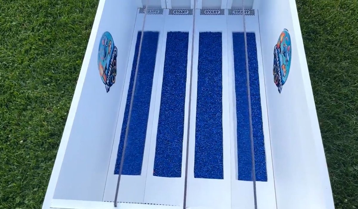 Tomorrows event is swimming!

Which animal will deal with the harsh conditions the best?

$ANIMAL #Paris2024 #Olympics