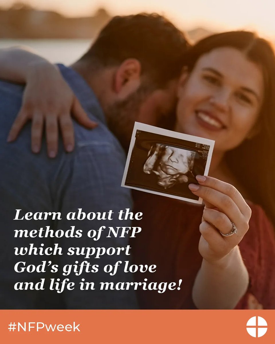 ProfKevin's tweet image. New article! Methods of NFP: A (brief) critical overview moraltheology.substack.com/p/methods-of-n…