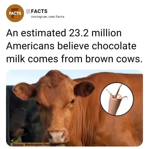 nglajas's tweet photo. An estimated 23.2 Million Americans believe chocolate milk comes from brown cows.💯

#FELIP7sinsAlbumConcert #DeadpoolAndWolverine  #viral #KimPau #Israel #BINI #Bitcoin  #nichiten #fyp #NorthBoi #natureconservation #naturelovers #nglajas https://t.co/tVovYEZmHi