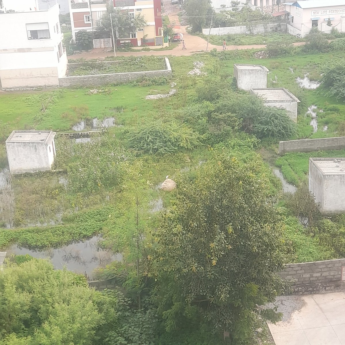 TheRenowned_YK's tweet photo. @hmwssbmgrsaibng @TelanganaCMO @CommissionrGHMC @TelanganaHealth Heath Minister Sir,request your attn or visit to Kapra area where over a month Sewers overflowing affecting hundred of families. HMWSSB inaction causing inconvenience to residents
Area Saibaba nagr @Eatala_Rajender https://t.co/oIqrdKmmf1