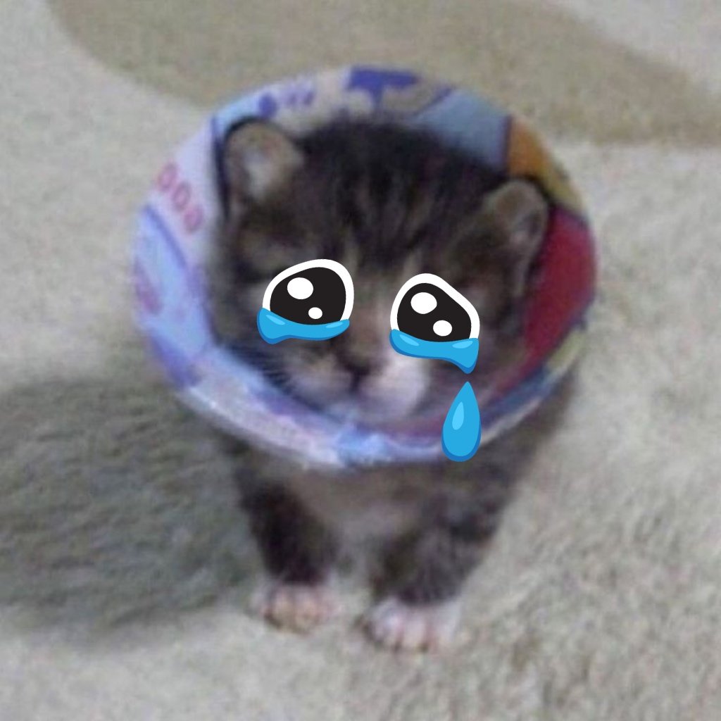 QUERIA DORMIR COM A CABEÇA APOIADA EM PEITOS 😭😭😭😭😭😭😭😭😭😭😭😭😭😭😭😭😭😭😭😭😭😭😭😭😭😭😭😭😭😭😭😭😭😭😭😭😭😭😭