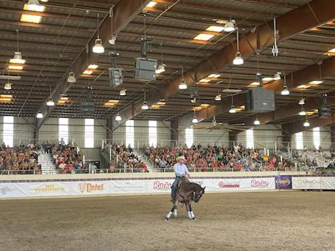 DownunderHorse's tweet photo. Great first day at the Rancho Murieta, CA #WalkaboutTour presented by @RitchieWaterers! https://t.co/QIaaxZVg0s