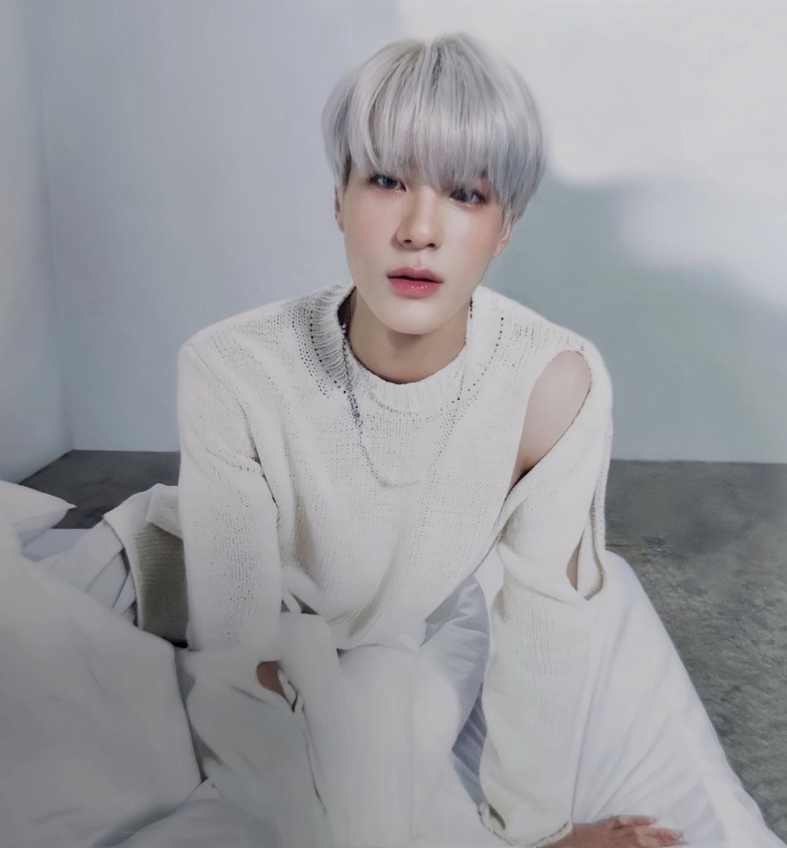 ทาสแมว                                                          แมว