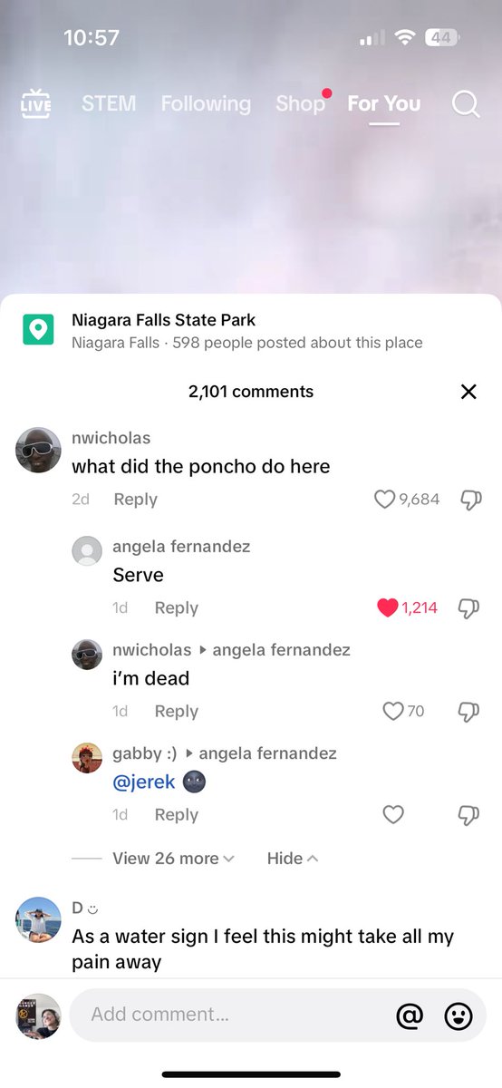 i fucking love tiktok