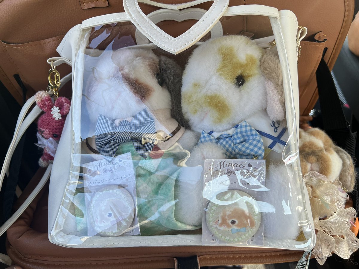 03190223's tweet photo. うさマニアへしゅっぱーつ！
久しぶりにロペとレオンも
お出かけ🐰🐰🩷 https://t.co/00bzFu95Ts
