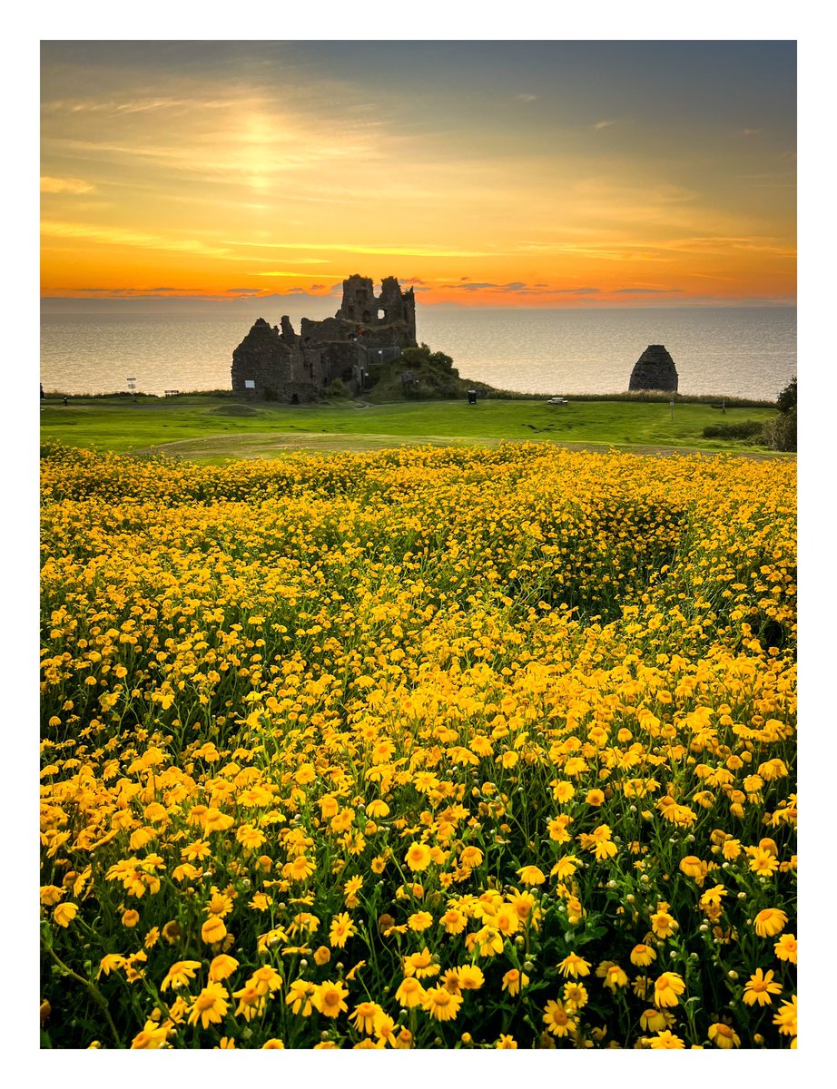 Dunure castle at sunset. 
#Dunure #Castle #Scotland #SouthAyrshire #VisitScotland #DiscoverAyrshire <a href="/VisitScotland/">VisitScotland</a> <a href="/disayrshire/">Discover Ayrshire</a>