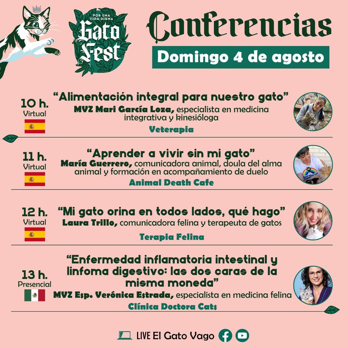 GatoFest tweet media