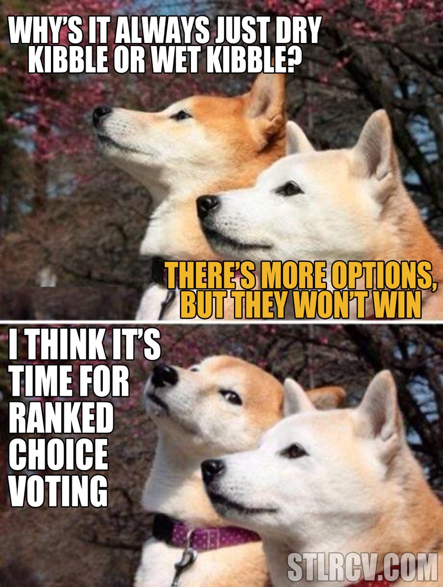 Why can't we have what we want?

#betterballotkc #stlrcv #RankedChoiceVoting #morcv #wecanfixthis
