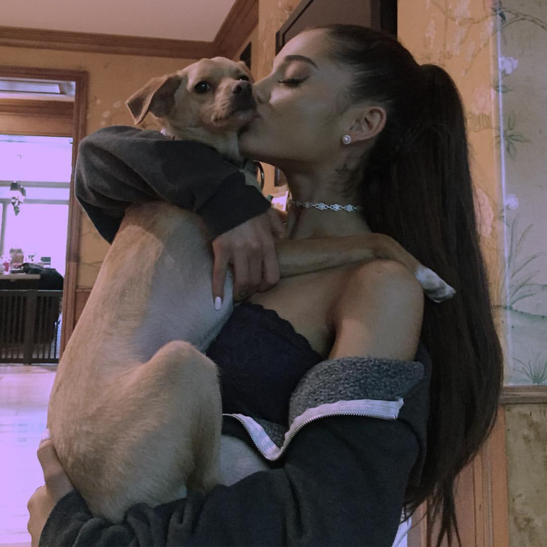 throwbacksofag's tweet photo. ariana grande via instagram post 9 years ago today with "thank you thank you thank you @coach for your donation to NKLA in toulouse's name. it means the absolute{..¶ &amp; proud of bae @coach #coachpups #rescuebabe &amp; another from T's big day. but this wink tho??{..}"(28th july 2015) https://t.co/US2QZX1k6e