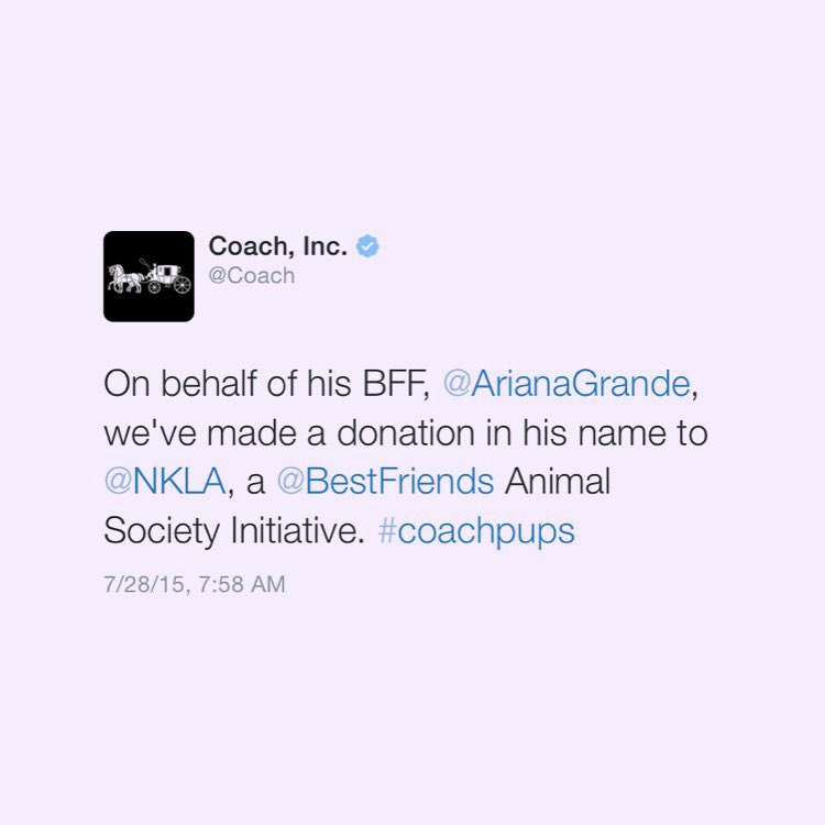 throwbacksofag's tweet photo. ariana grande via instagram post 9 years ago today with "thank you thank you thank you @coach for your donation to NKLA in toulouse's name. it means the absolute{..¶ &amp; proud of bae @coach #coachpups #rescuebabe &amp; another from T's big day. but this wink tho??{..}"(28th july 2015) https://t.co/US2QZX1k6e