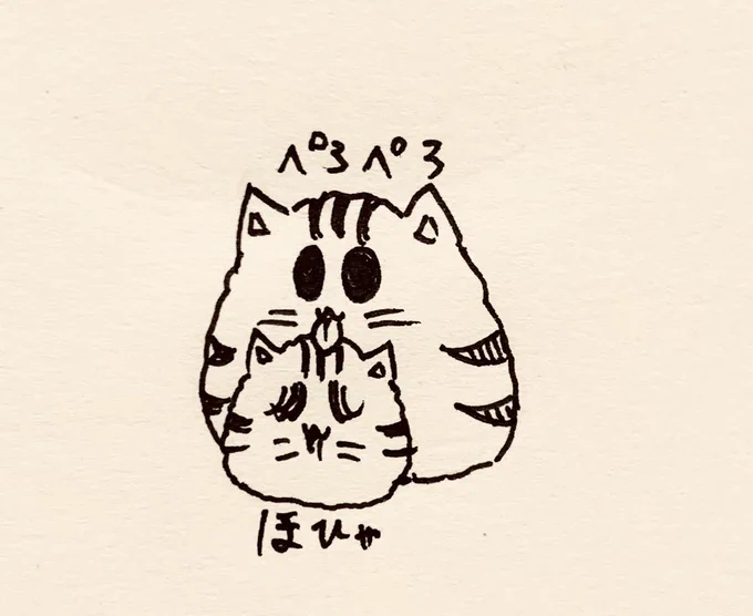 よく寝た…おはよ 