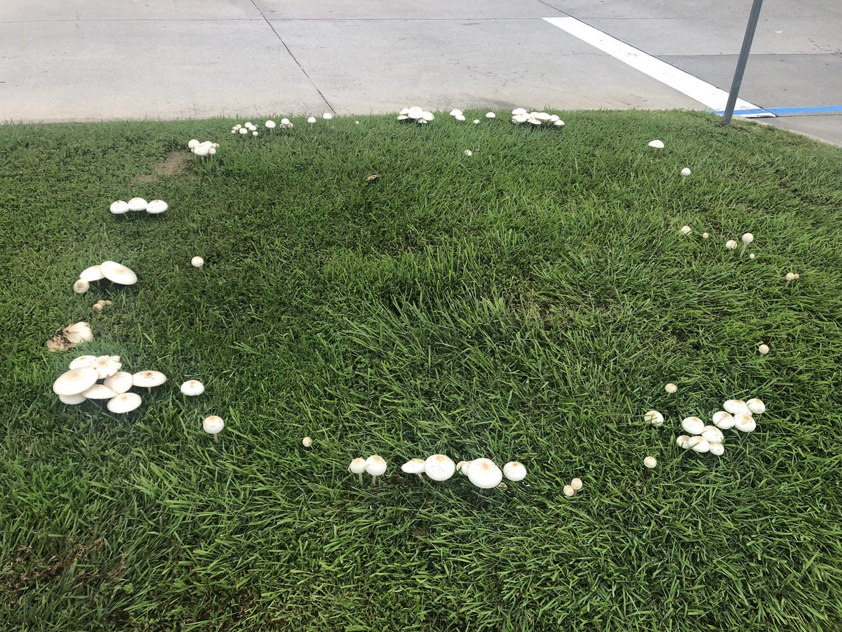 Clay Thompson (claythompsonva.bsky.social) tweet media