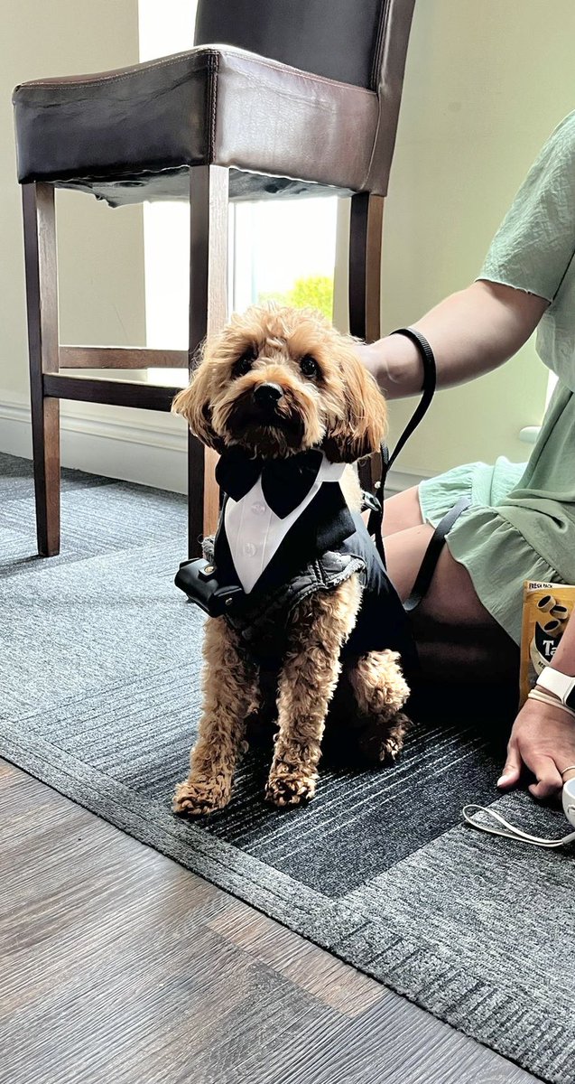 Waterfront Harwich tweet media