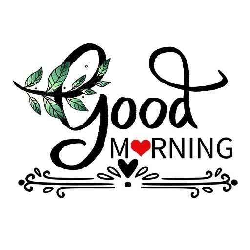 Riz Shafique tweet media