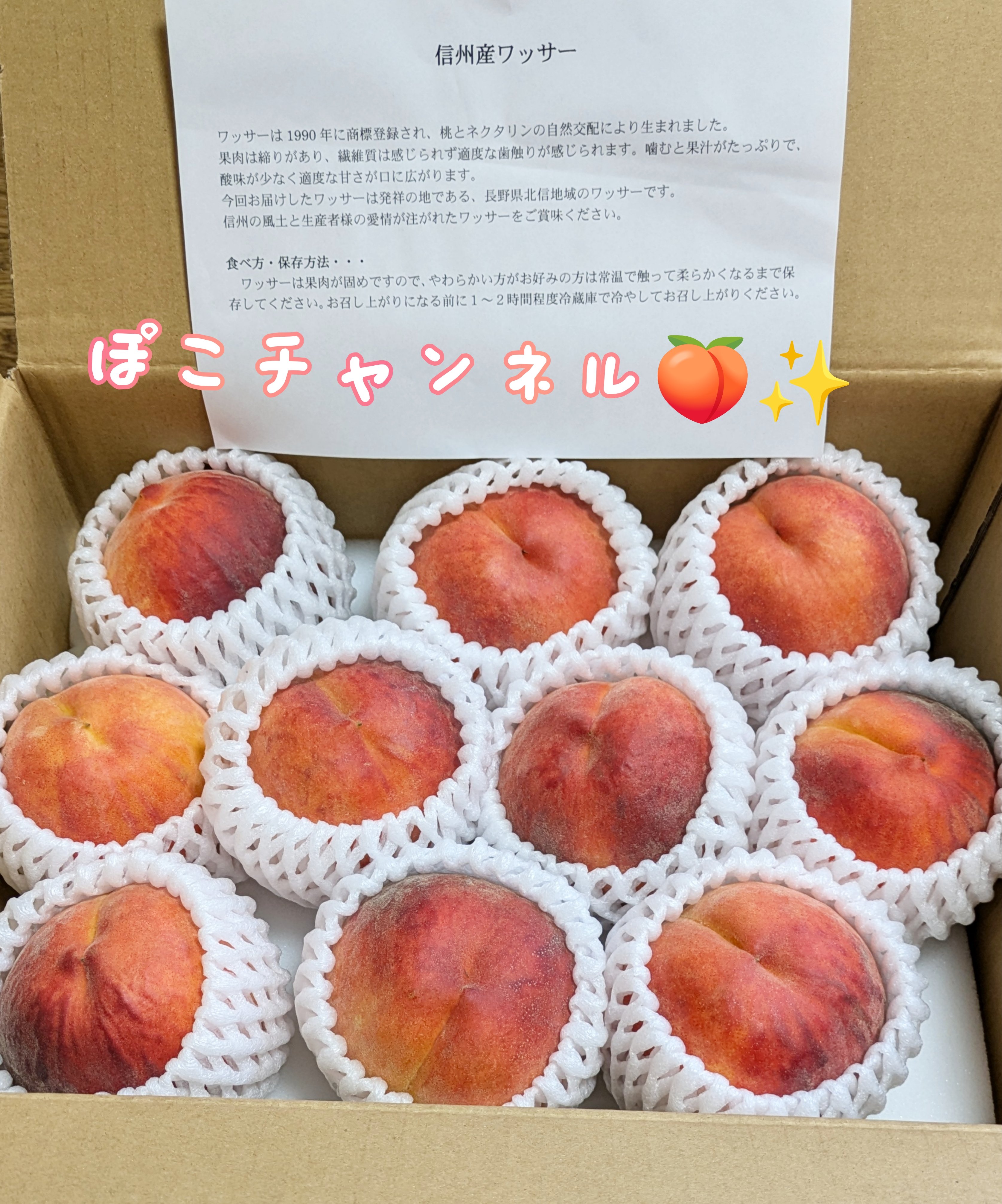 信州産 - Search / X