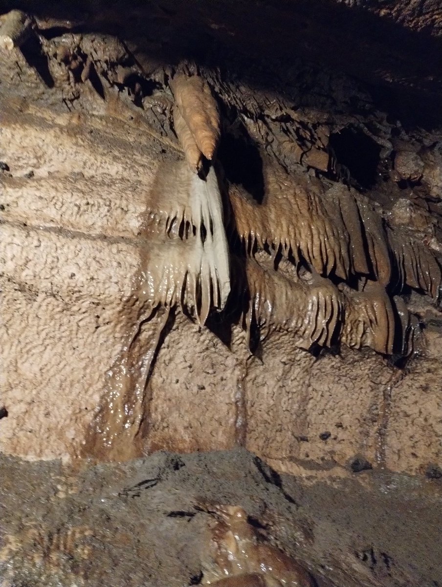 Fishstix_420's tweet photo. Checked out a cave today in southern #Minnesota

#NiagaraCave #HarmonyMN
#GodsCountry #cave #caves https://t.co/nah9A3e4hs