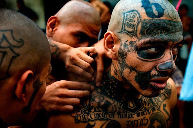 HomericFuturist's tweet photo. These guys conduct raids, keep sex slaves and engage in human sacrifice 

If you aren’t mentally physically and spiritually prepared to exist in their world then you are just their food 

It takes more than stockpiling food and ammo

It takes more than training 

You have to live mentally in a place where confrontation with this isn’t just a grim
Necessity 

You have to build a culture that promotes it 

A culture where your young men live to crush these guys, where respect is earned by putting these guys in the ground 

It’s not enough to fend them off

You have to drive your environment 

You need to be building a culture capable of doing that 

And yes that starts with looking at how a warrior culture operates, how it understands itself, what it promotes and taking steps to build on of your own 

You can call that larping, but I’ll roll the dice that my guys will be better positioned when the time comes than those who mock our approach