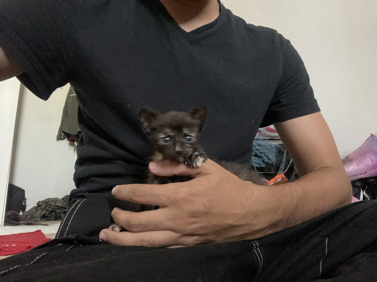 ayyyydaniel's tweet photo. EVERYONE, LISTEN TO ME,

say hi to umbreon https://t.co/enV4LjPpWn