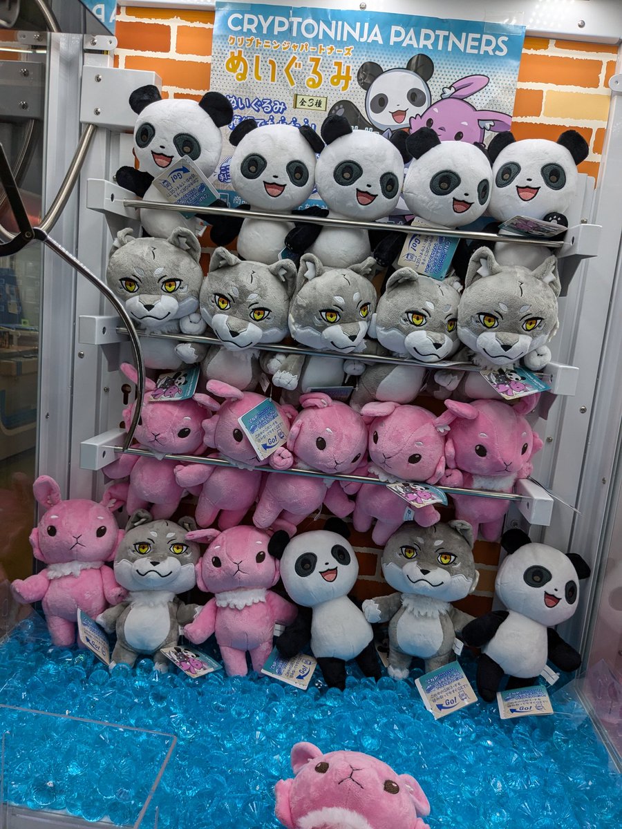 クリプトニンジャパートナーズぬいぐるみ 入荷しました！ ぬいぐるみ