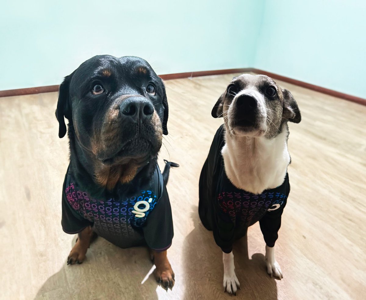 FURIA shaW tweet media