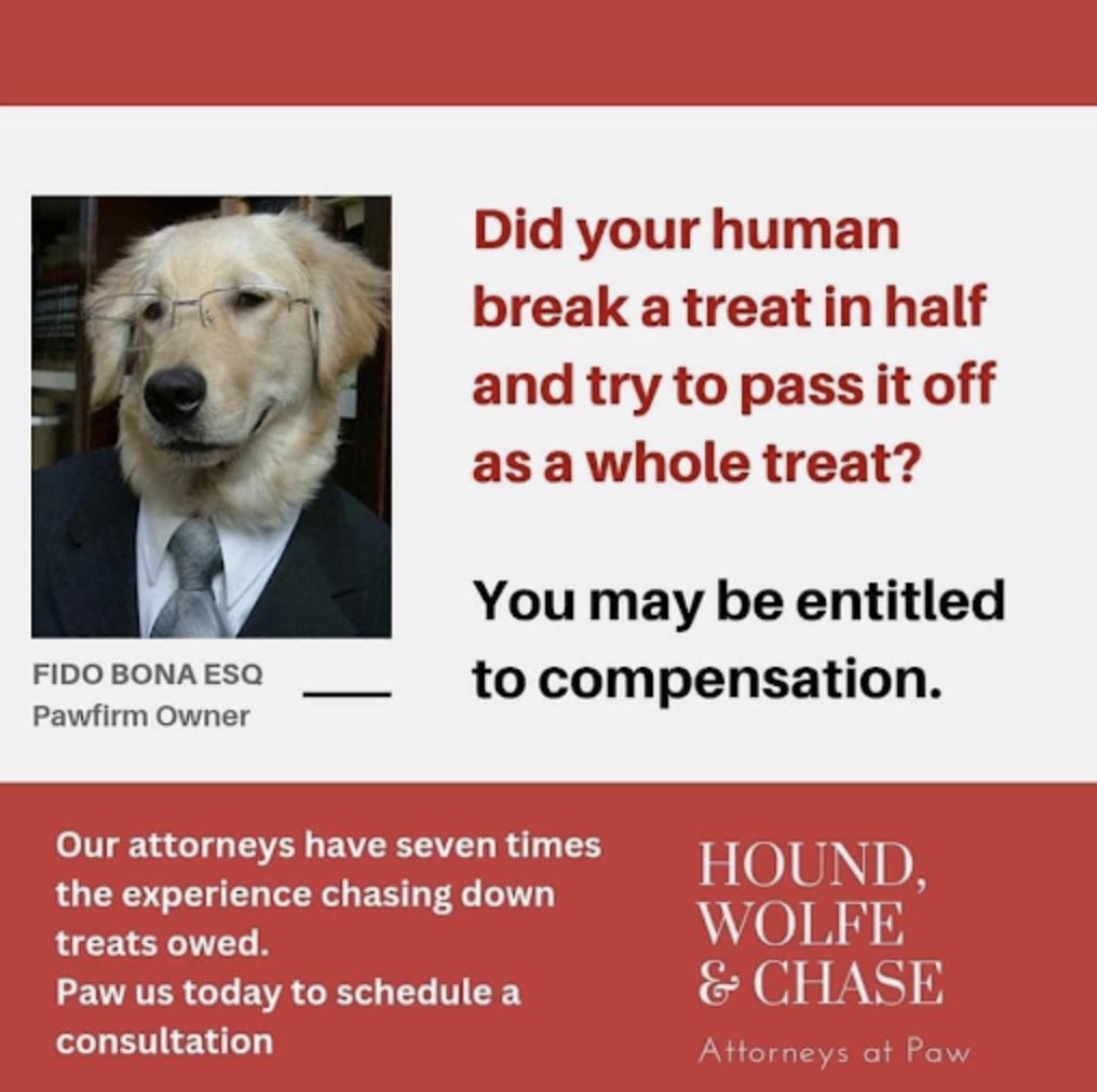 kimkomando's tweet image. 😂🐶 Did your human break a treat in half and try to pass it off as a whole treat? You may be entitled to compensation! Contact Fido Bona, Esq. at Hound, Wolfe &amp;amp; Chase for a consultation. #DogHumor #PetLawyers #TreatsRights