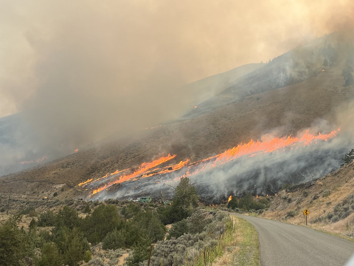 salmonchallisnf's tweet image. Huge shoutout to our local firefighters! 🔥Thanks to quick action and a strategic burnout, crews were able to stop the Thunder fire's advance. They're still hard at work mopping up hotspots. Great job, everyone! #wildfire #firefighters #williamslake #lemhicounty
