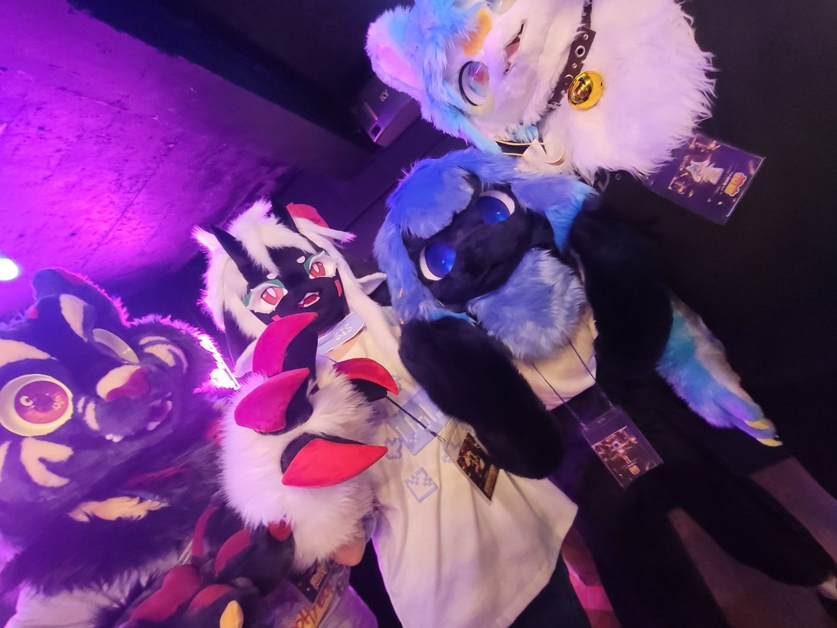 털뭉치 (@furry_festival) / Posts / X