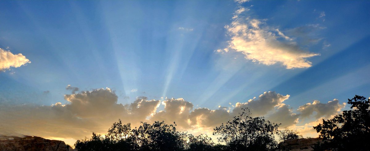 SMichlin's tweet photo. Sunbeams
#LiveFarmington
#JoltYourJourney https://t.co/8WbyPgq7uO