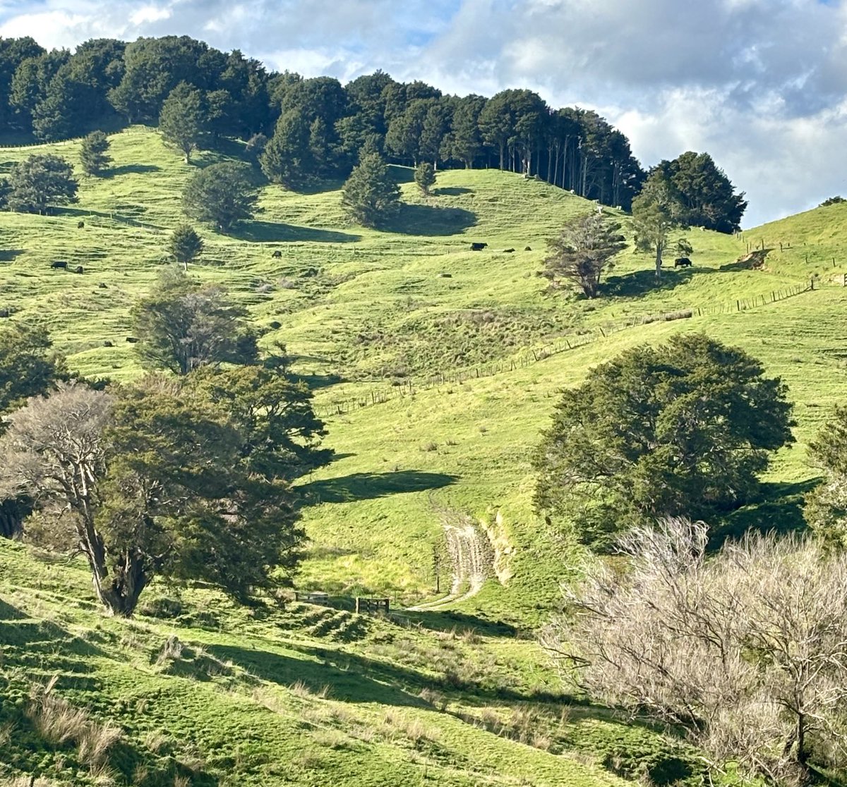 Watching my Angus beef cattle peacefully grazing, converting grass into protein to nourish us, I can’t help thinking that given 90,000 flights take off and land daily, why are farmers being blamed for climate change? In my opinion, climate activists should reconsider their focus.