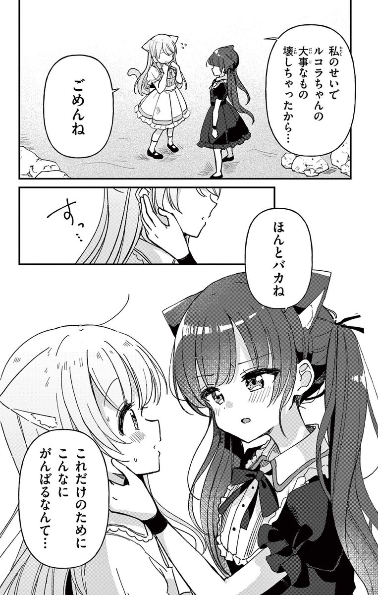 (6/6) 