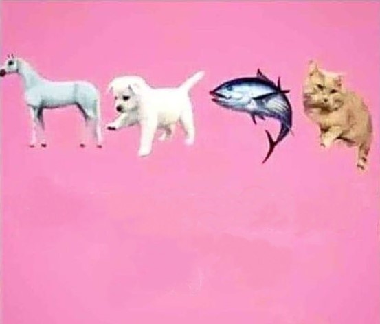 Vaidik Gyaan tweet media