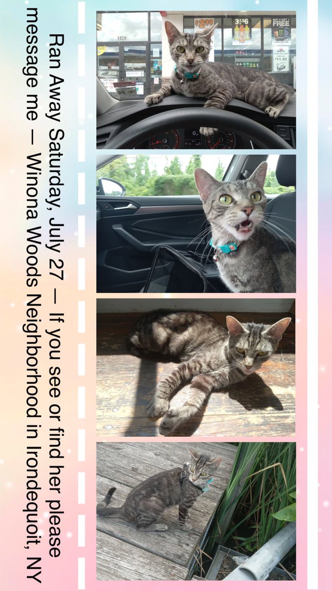 585Jenn80's tweet image. We are on Chestnut Hill Dr