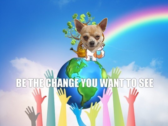 @SolCoinWilly My entry meme 😍
@SolCoinWilly  #RetardioDogs 
<a href="/JDHR68/">JDHR68</a> $WILLY