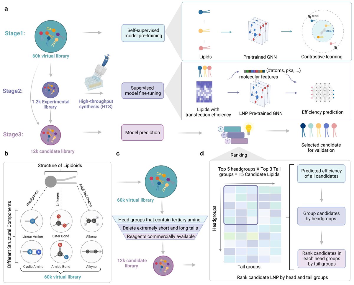 Bo Wang (@bowang87) on Twitter photo Thrilled to announce that our AGILE framework, an AI-guided LNP development for mRNA delivery, is now published in <a href="/NatureComms/">Nature Communications</a>! 🎉 This is a collaborative work with @BowenLi_lab.
(Re-)Introducing the AGILE Platform: A Deep Learning-Powered Approach to Accelerate LNP Development Thrilled to announce that our AGILE framework, an AI-guided LNP development for mRNA delivery, is now published in <a href="/NatureComms/">Nature Communications</a>! 🎉 This is a collaborative work with @BowenLi_lab.
(Re-)Introducing the AGILE Platform: A Deep Learning-Powered Approach to Accelerate LNP Development
