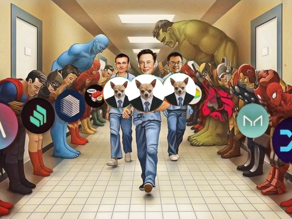 @SolCoinWilly My entry meme 😍
@SolCoinWilly  #RetardioDogs 
<a href="/JDHR68/">JDHR68</a> $WILLY