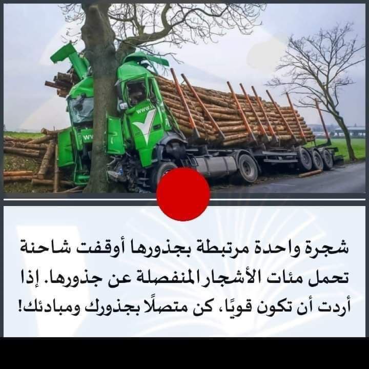 🔘الثبات على المبدأ
 هو #سلاحك  الذي لن يخذلك!