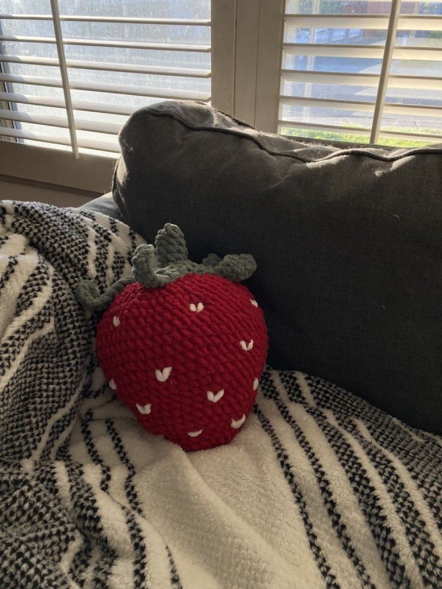 300moods's tweet photo. crochet strawberry pillow 🍓 https://t.co/Nqn37poFqH
