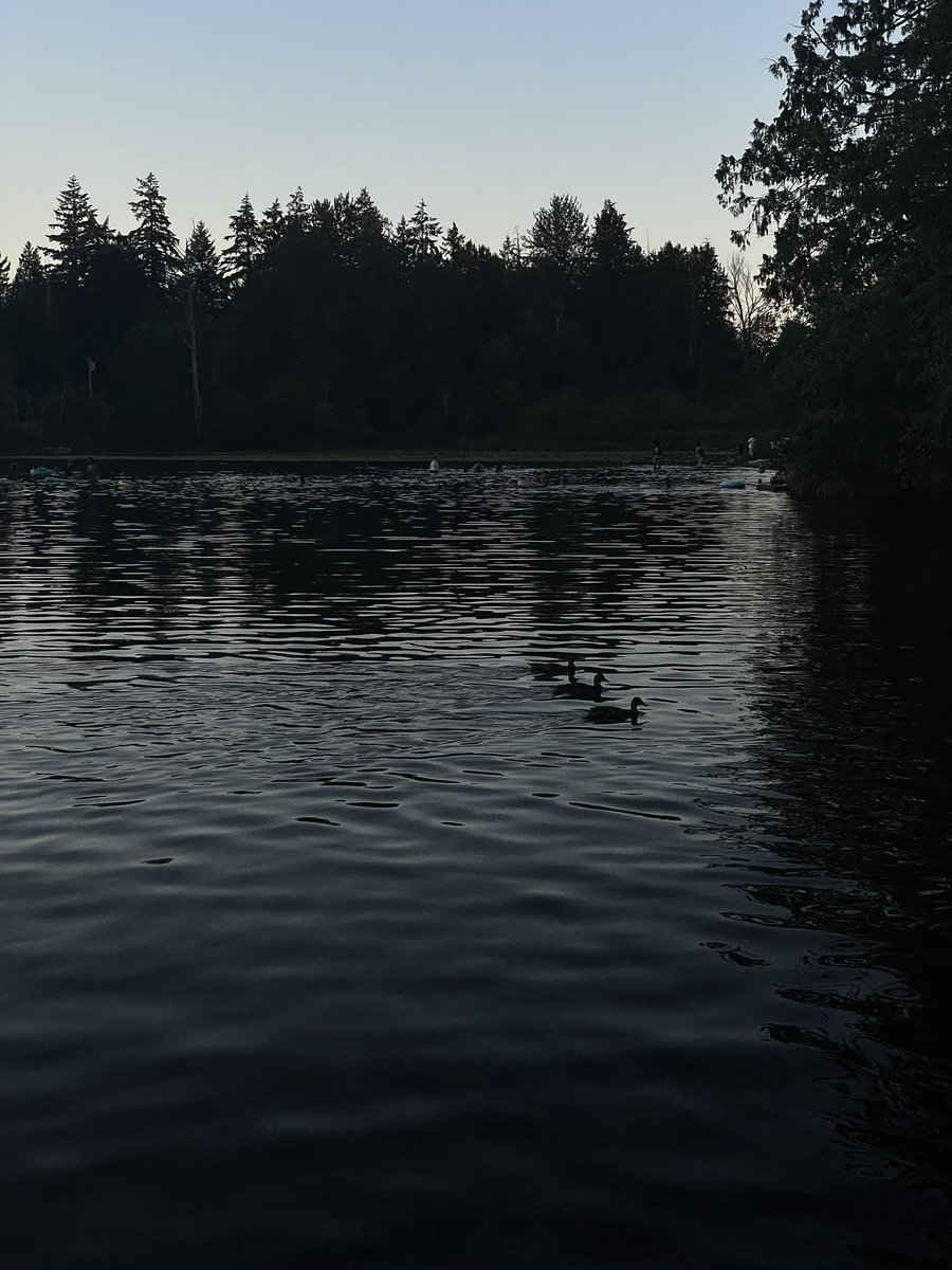 Illuminate tweet media